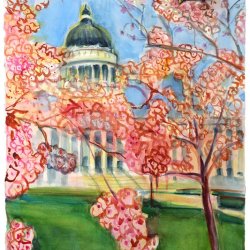 05-Capitol-Cherry-Blossoms